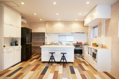 Plants: image 1 0f 4 thumb